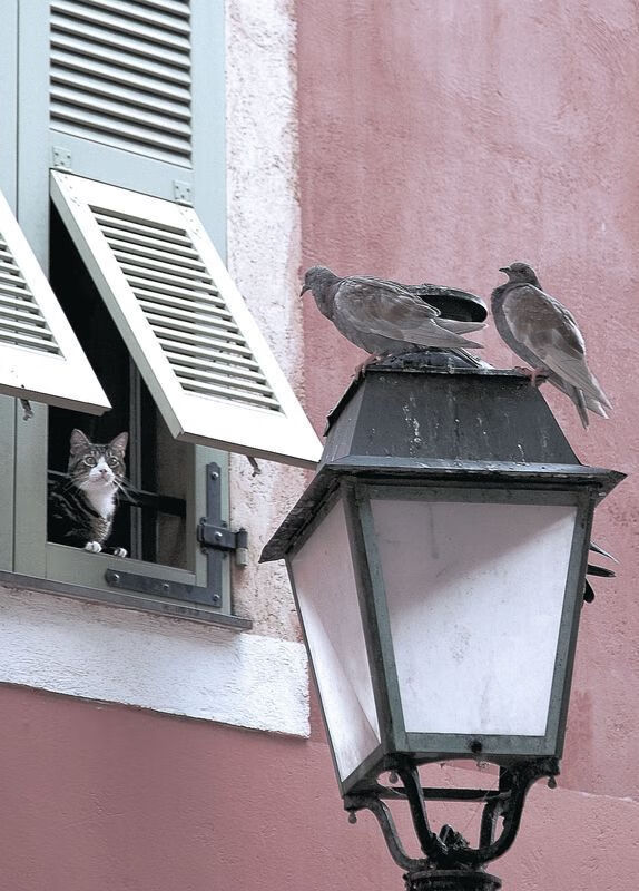 “青少年足球创新训练营，助力技术全面提升”，青少年足球训练方案