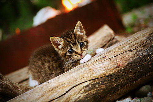 中国米兰官方-传奇教练回顾：他们改变了联盟的战术思想，传奇足球教练