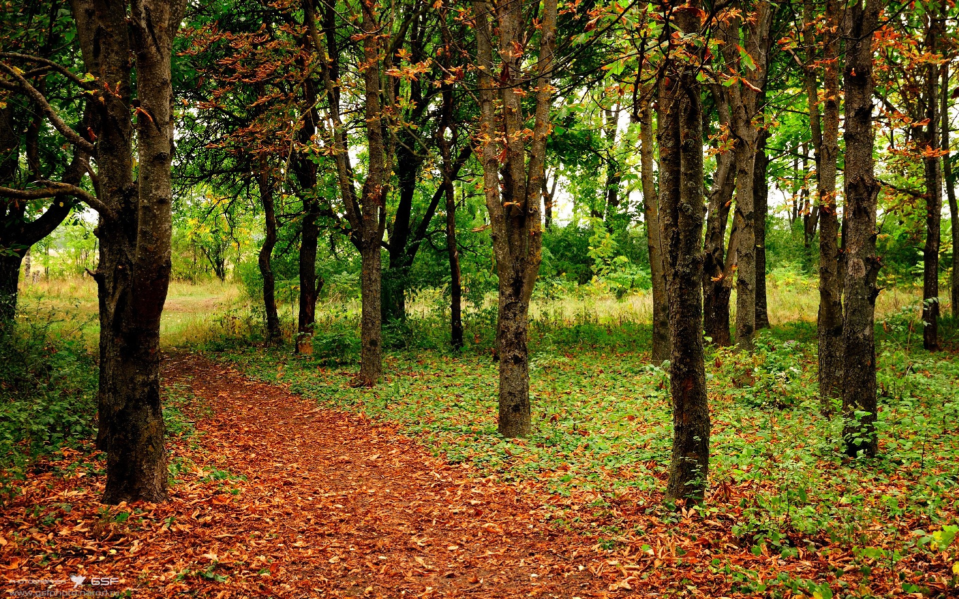 米兰体育APP-传奇教练的“制胜秘籍”：战术、心态全方位解析，传奇训练师