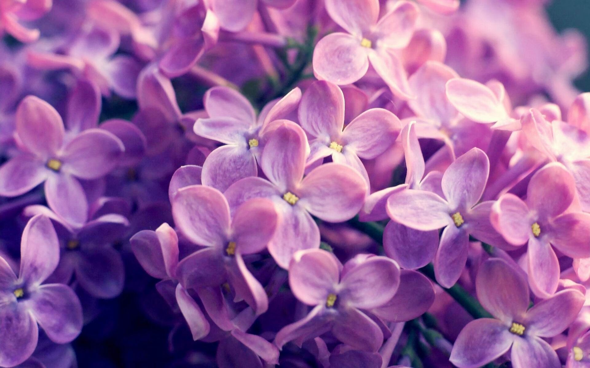 米兰体育入口-地方政府联合推动足球运动发展，打造特色足球小镇，《关于开展全国足球发展重点城市建设工作的指导意见》