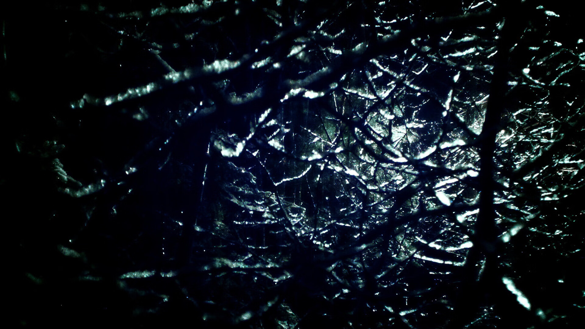 库里:带领勇士开启“水花奇迹”时代!,库里花心