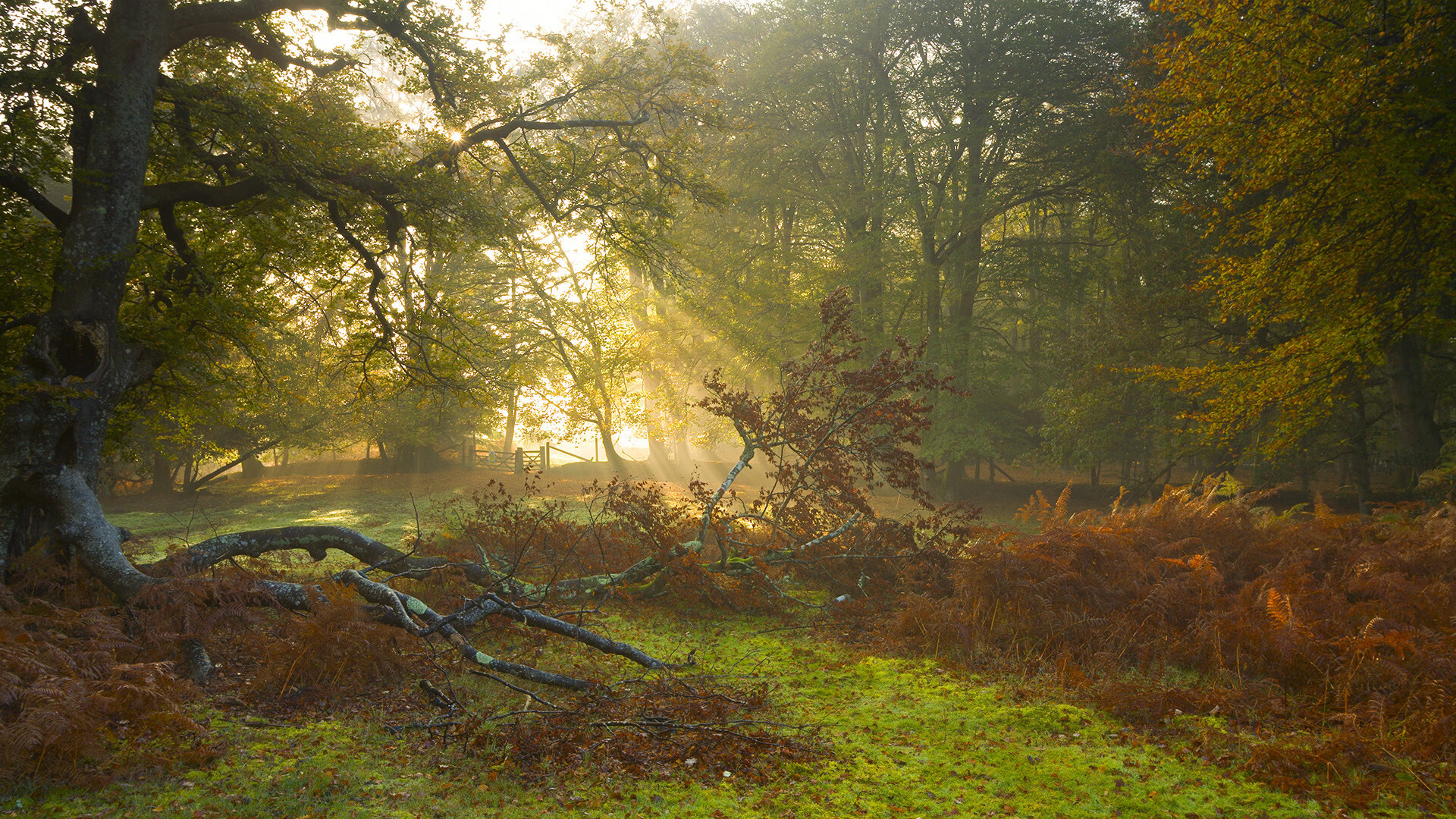 教练换帅:新主帅带来什么样的变化?,主教练换上自己