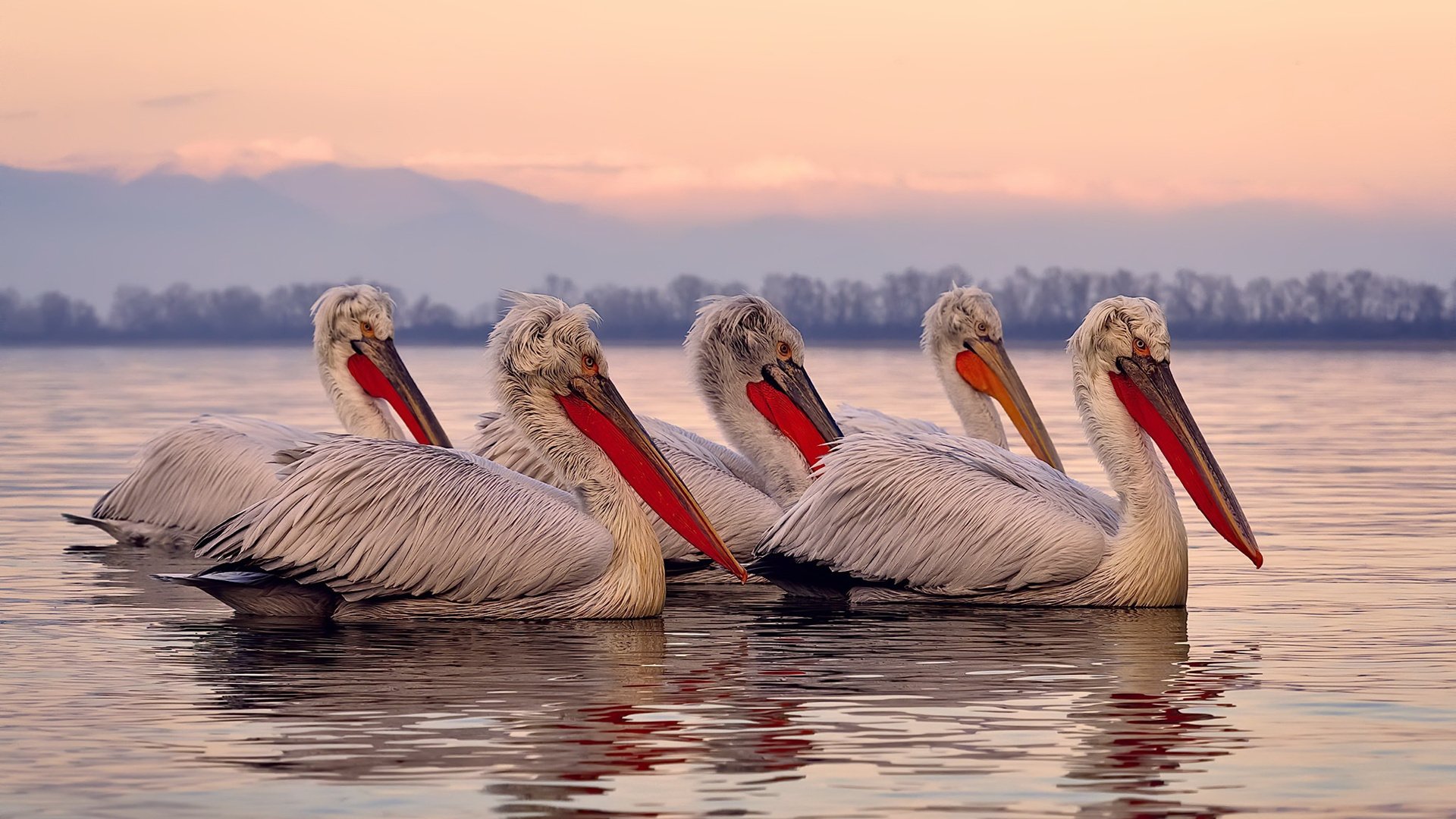 中国足球风云再起 十六强诞生引爆全民热情,中超足球风云