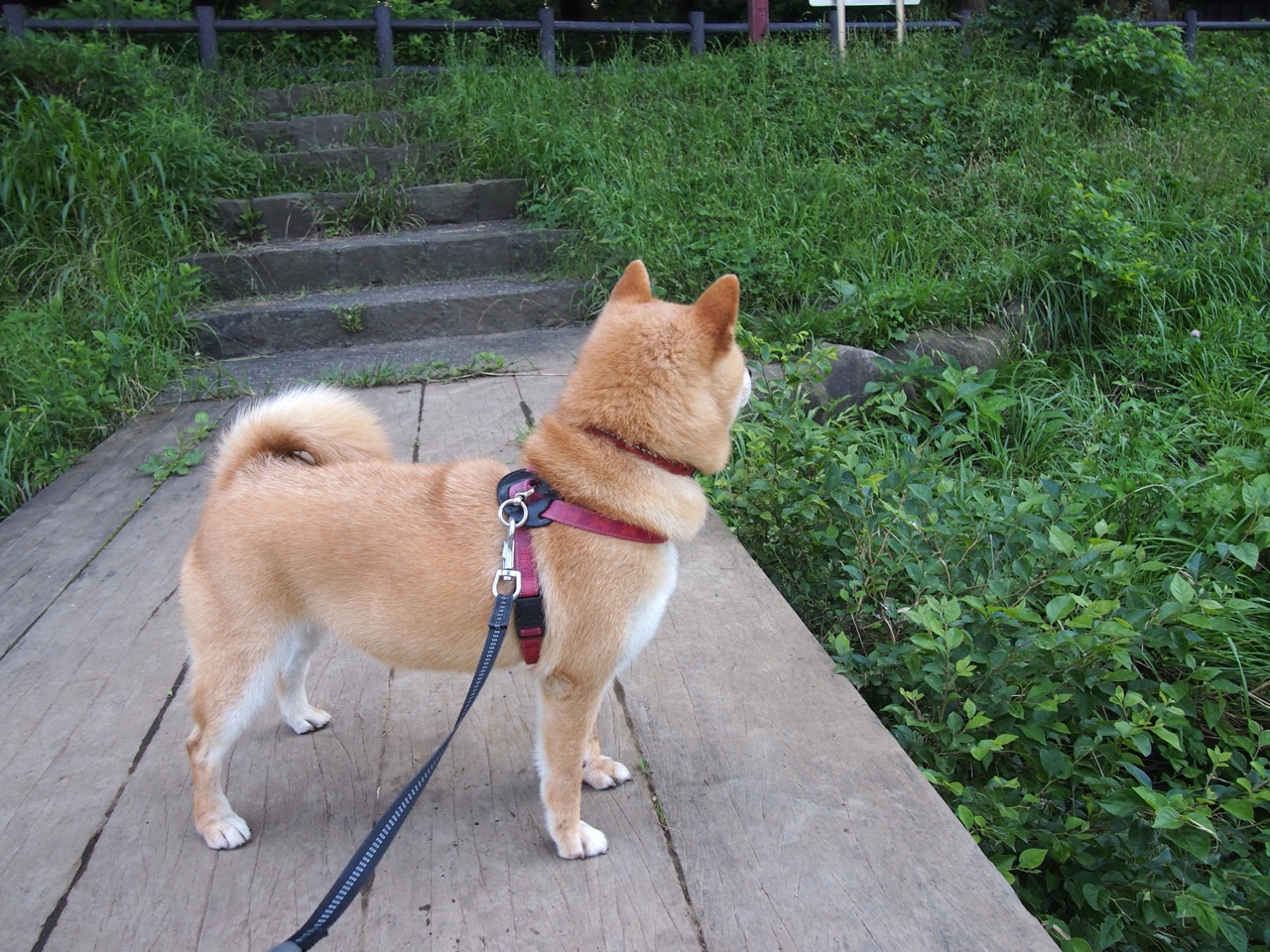 米兰体育网页版(官方}-布莱顿客场大胜，继续向前冲，球队在积分榜上追赶，布莱顿比赛直播