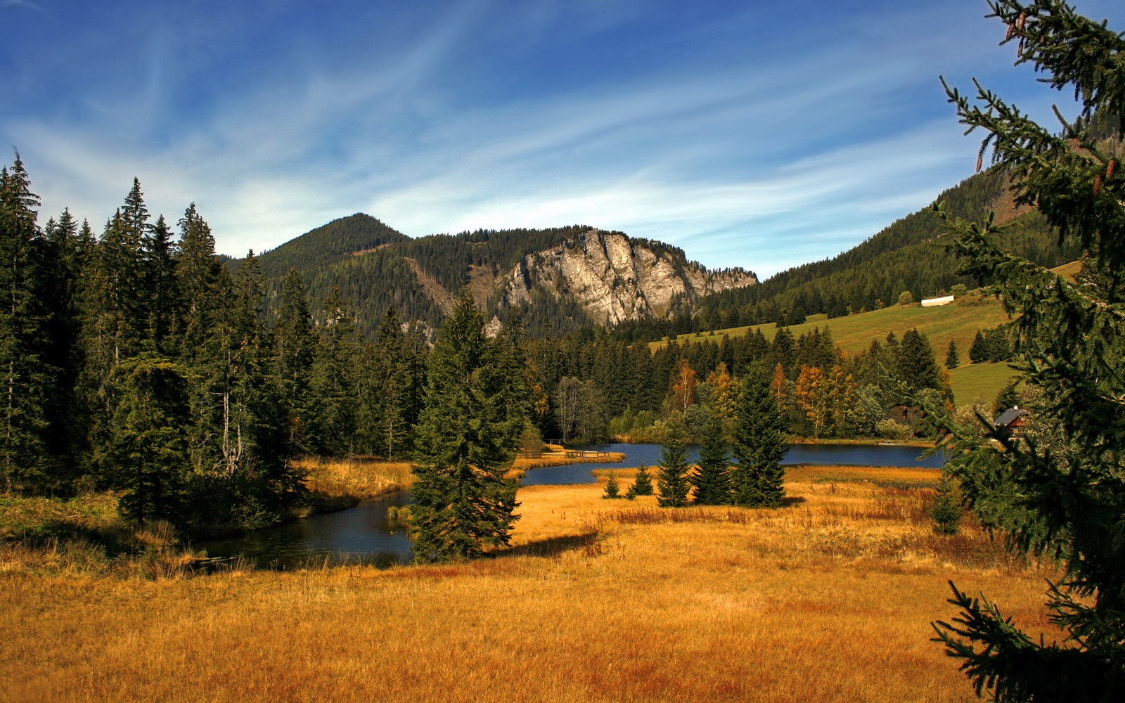 中国米兰体育-瑞士男足在巴黎奥运会上表现出色，晋级四强，瑞士男足门将