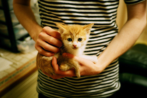 美洲篮球超级联赛巅峰对决,耀眼全场,美洲篮球冠军赛