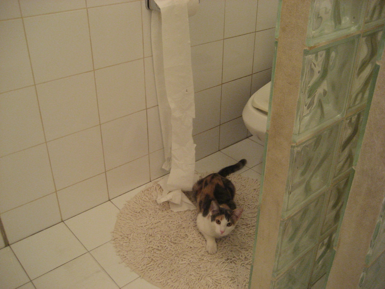 米兰体育官网-五大联赛是否将控球转换区作为新核心组织区域，五大联赛任意球