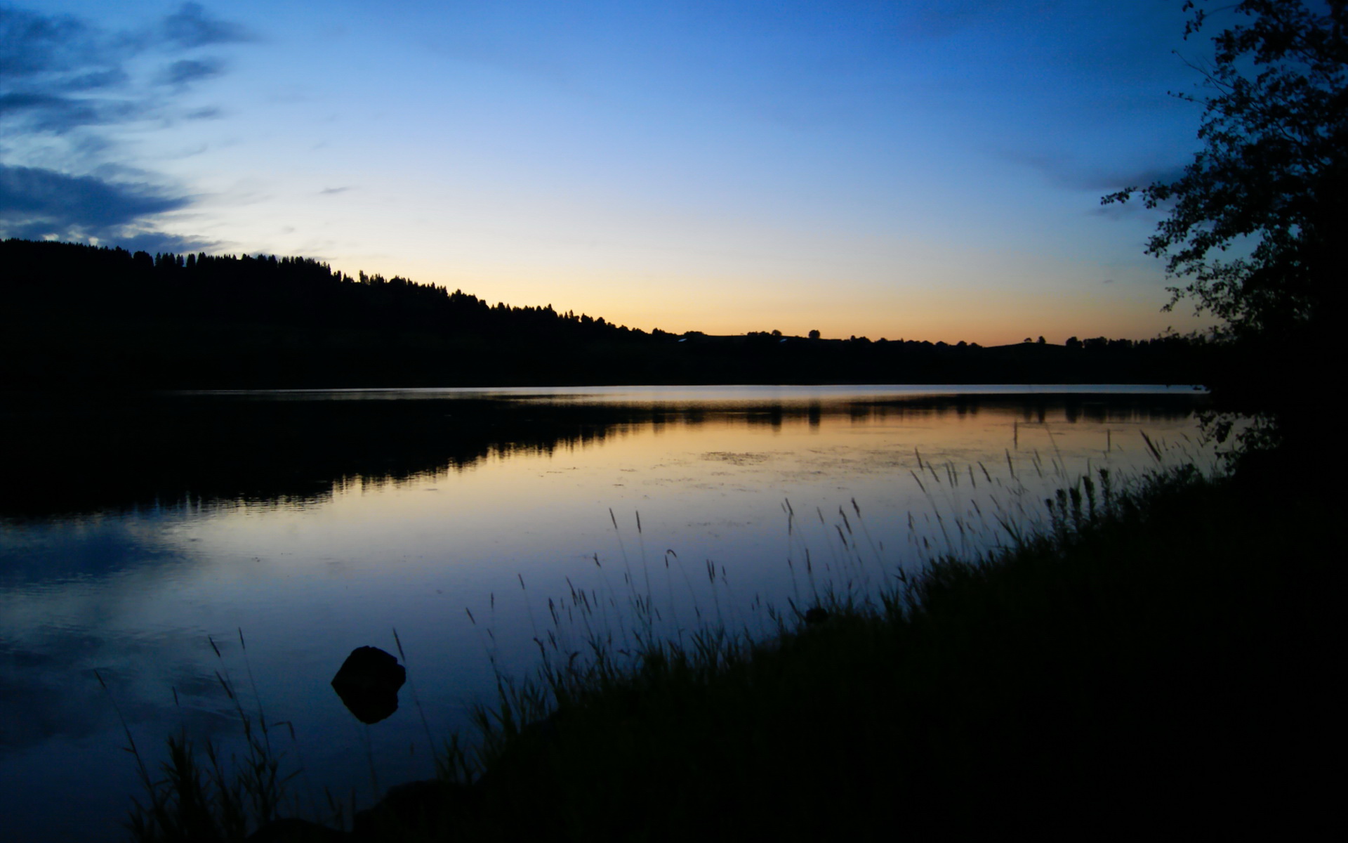 图卢兹围绕速度展开战术布置,图卢兹怎么样