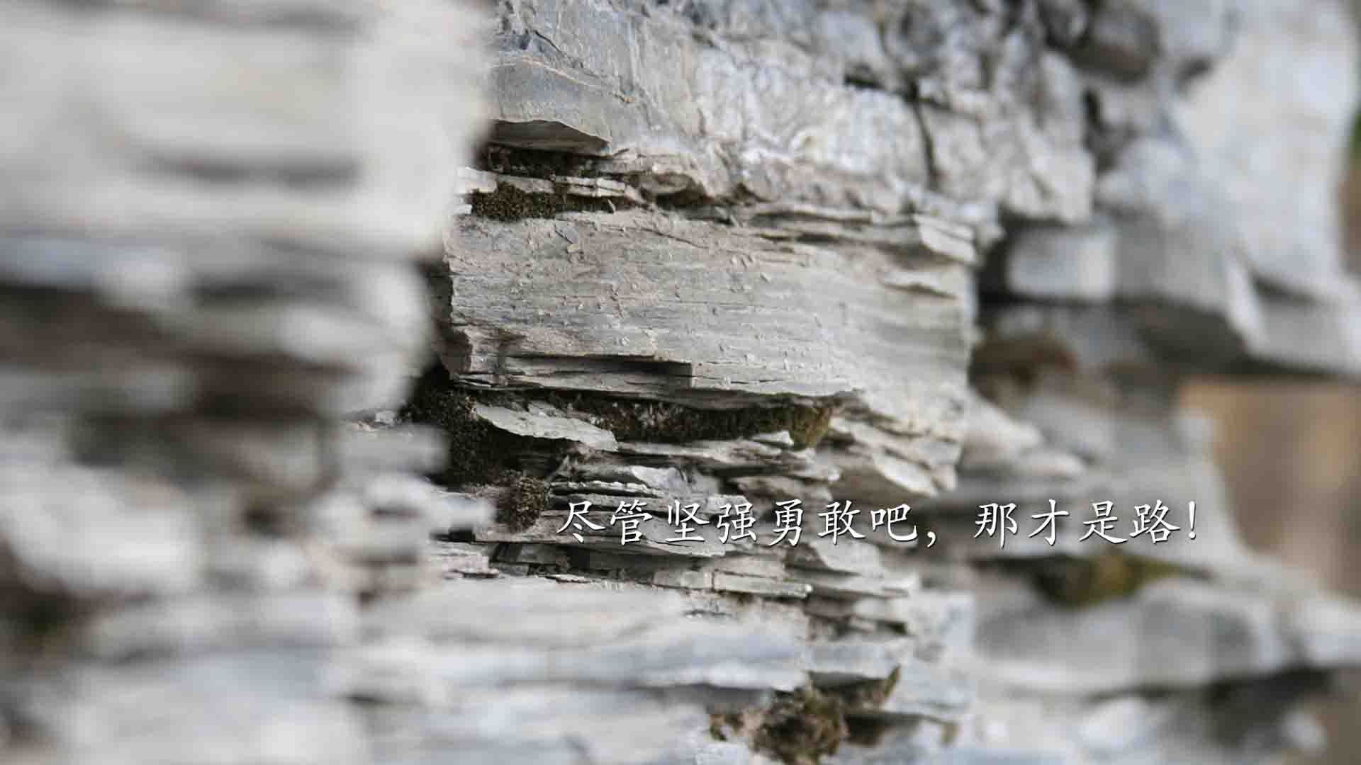 马术青少年俱乐部联赛推广马术文化教育,青少年马术培训