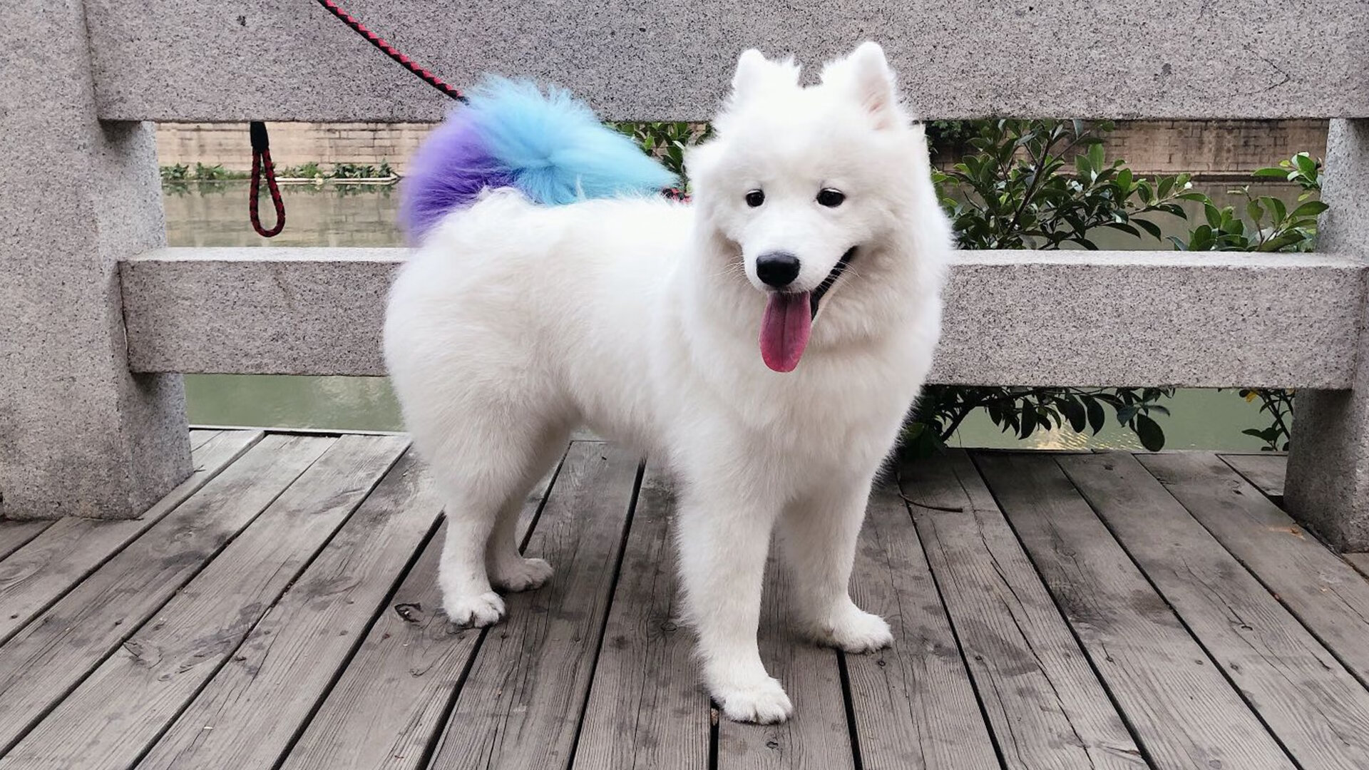 穆里尼奥出席欧足联媒体日，穆里尼奥最新